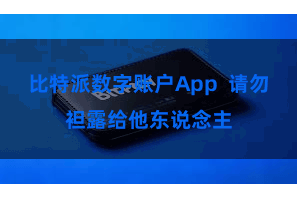 比特派数字账户App  请勿袒露给他东说念主