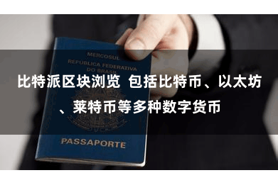 比特派区块浏览  包括比特币、以太坊、莱特币等多种数字货币