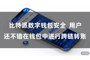 比特派数字钱包安全 用户还不错在钱包中进行跨链转账